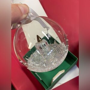 Elegant Glass Ornament with Silver Accents